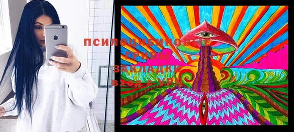 a pvp Карпинск