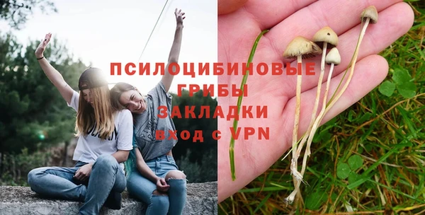 наркотики Каменногорск